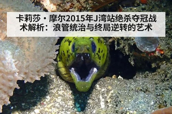 卡莉莎·摩尔2015年J湾站绝杀夺冠战术解析：浪管统治与终局逆转的艺术
