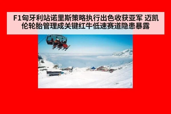 F1匈牙利站诺里斯策略执行出色收获亚军 迈凯伦轮胎管理成关键红牛低速赛道隐患暴露