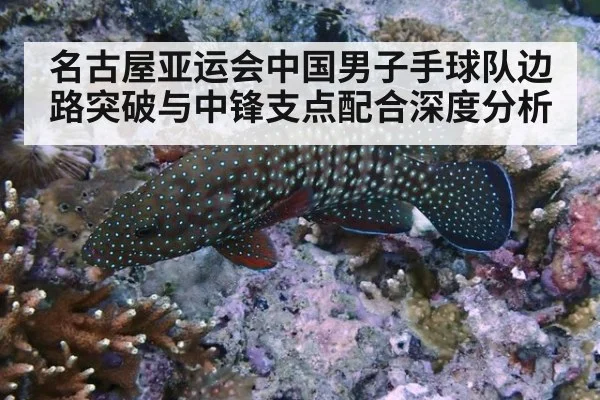 名古屋亚运会中国男子手球队边路突破与中锋支点配合深度分析